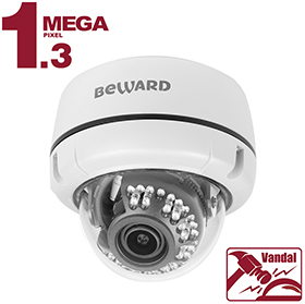 Видеокамера IP B1510DV