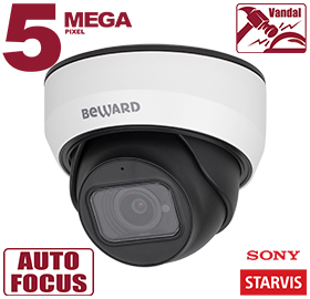 Видеокамера IP SV3212DZ