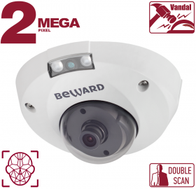 Видеокамера IP B2530DMR