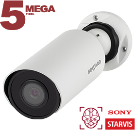 Видеокамера IP SV3218R2