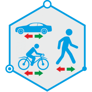TRASSIR Direction Detector
