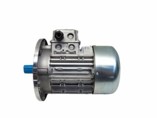 Двигатель  119RIY070